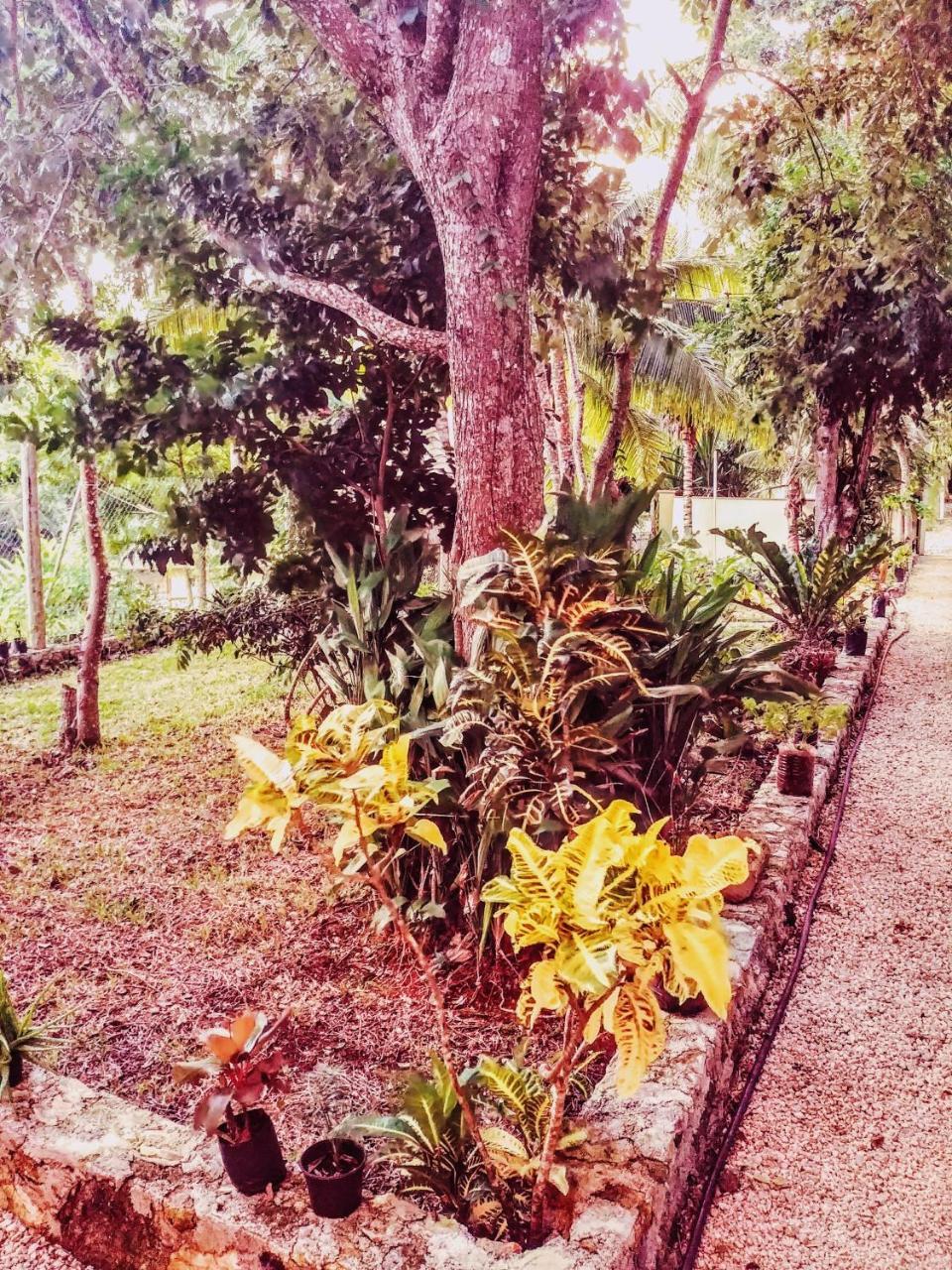 El Roble Nature Hotel & Lagoon Bacalar Exterior photo